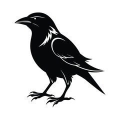 Fototapeta premium Bird logo sihlouette icon 