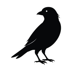 Bird logo sihlouette icon 