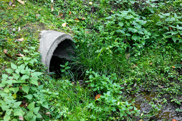 A drainage ditch with a concrete pipe under a dirt road overgrown with grass.