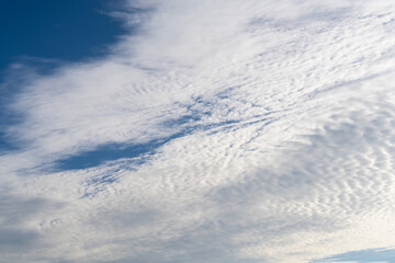 cloudscape on the sunny day