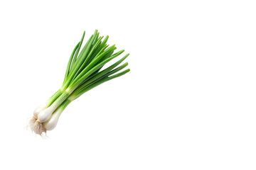 green spring onion isolated on white background transparent PNG and copy space