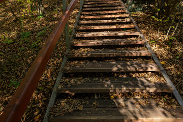 A wooden staircase in the middle of an autumn walk in the forest.