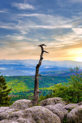 Withered Tree Overlooking a Mountain Landscape at Sunset