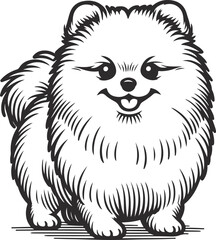 Fototapeta premium Cute pomeranian dog sketch hand drawn in Vector illustration.