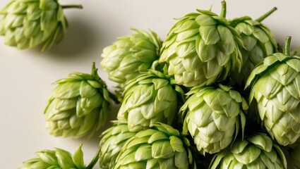 Fototapeta premium Freshly harvested hop cones for enhancing the flavor profile of craft beer brewing.