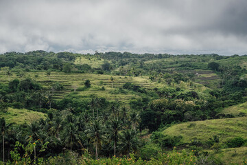 Obraz premium Discover the inland areas covered of green vegetation