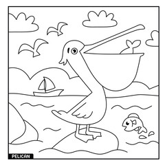 Pelican coloring page for kids
