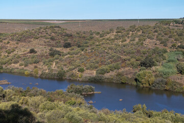 Fototapeta premium Rio Guadiana