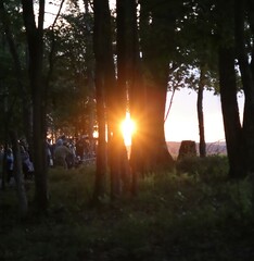 The last sunset I ever shared with him, the beloved Handlebars