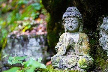 Serene Buddha Statue Surrounded by Nature