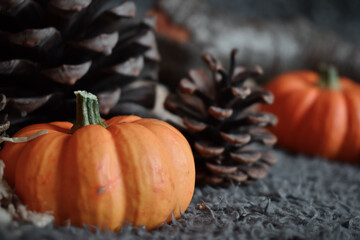 Pumpkin Pinecone Autumn woodland scene