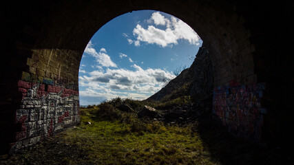 Obraz premium Graffitied 1800s Train Tunnel