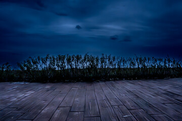 horizonte oscuro en un paisaje de invierno. Se acerca una tormenta