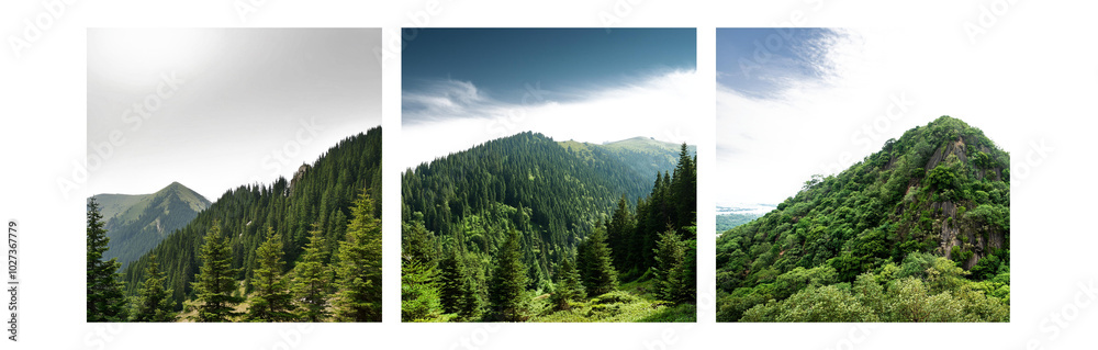 Aufkleber three isolated views of lush green mountain slopes with dense foliage and hints of blue sky.