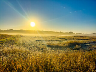Autumnal view over misty fields illuminated in orange by the rising sun.