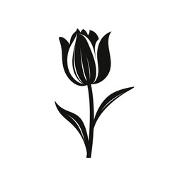 silhoutte of black and white tulip