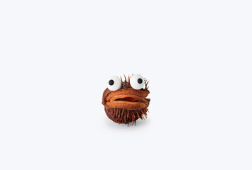 Halloween concept. Spooky dry chestnut with eyes on a white background. Halloween background.