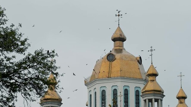 Birds circle around the dome of the temple. Tample against sky with birds circling around.