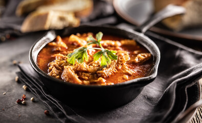 Tasty soup or stew made of beef tripe and spices. Spicy and aromatic tripe soup seasoned with pepper and served with bread