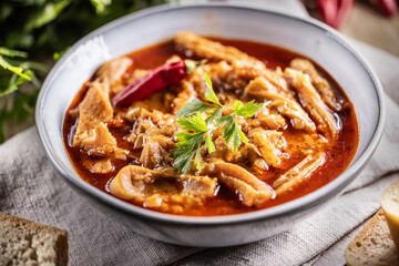 Tasty soup or stew made of beef tripe and spices. Spicy and aromatic tripe soup seasoned with pepper and served with bread