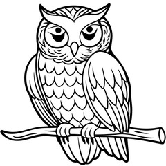 simple icon Children coloring book page, line art, monochrome black and white, cartoon outline cute style, illustration of a owl