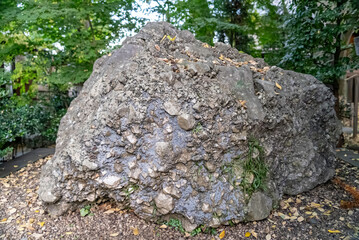 大國魂神社境内のさざれ石