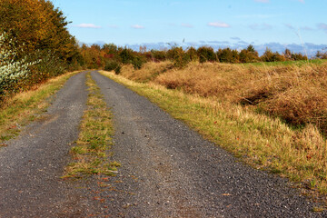A paved field road. On a sunny summer day.
