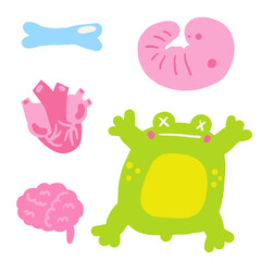 Cute science theme composition, postcard with funny hand drawn doodle heart, brain, embryo, frog, bone. School, science, education objects set