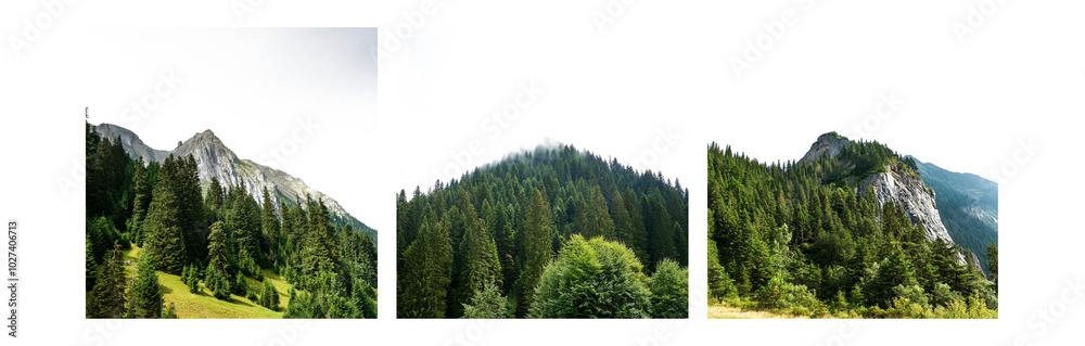 Aufkleber Three vertical images showing mountain peaks with dense forest coverage.