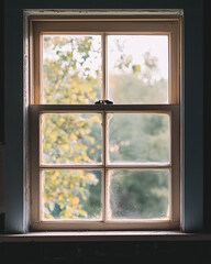 Fototapeta premium double-pane windows with thick insulation