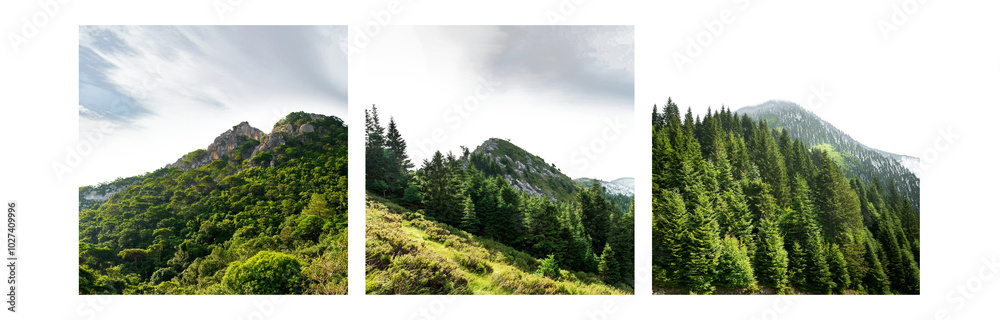 Aufkleber a panoramic view of a lush green mountain with a cloudy sky.