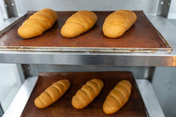 A few freshly baked bread loaves on a production rack