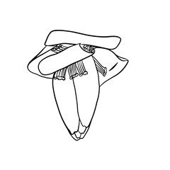 БезымянныйFlower banana line art vector. Realistic Botanical Drawing. Illustration of Tropical Plant. Vector illustration line art drawing. Botanical hand drawn element.