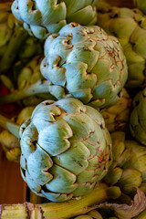Fototapeta premium Fresh ripe green organic artichokes heads on local farmers market in Dordogne, France