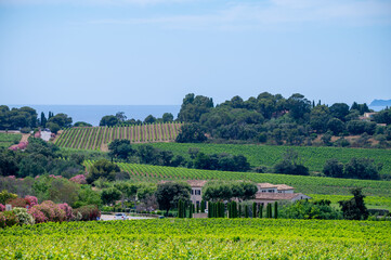 Landscape of French Riviera, view on hills, houses and green vineyards Cotes de Provence,...