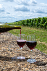 Tasting of red pinot noir wine on grand cru vineyards with cross and stone walls in Cote de nuits, making of famous red and white Burgundy wine in Burgundy region, Vosne-Romanee village