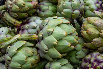 Fototapeta premium Fresh ripe green organic artichokes heads on local farmers market in Dordogne, France