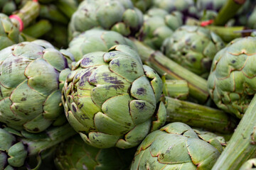 Fresh ripe green organic artichokes heads on local farmers market in Dordogne, France