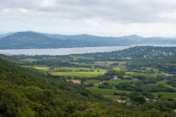Obraz premium Landscape of French Riviera, view on hills, houses and green vineyards from above Cotes de Provence, production of rose wine near Saint-Tropez and Pampelonne beach, Var, France