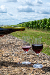 Tasting of red pinot noir wine on grand cru vineyards with cross and stone walls in Cote de nuits, making of famous red and white Burgundy wine in Burgundy region, Vosne-Romanee village