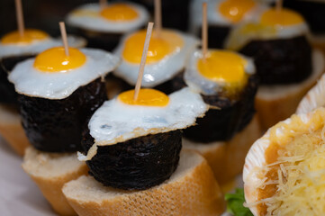 Typical snack of Basque Country, pinchos or pinxtos skewers with small pieces of bread, sea food, eggs, cheese, jamon served in bar in San-Sebastian or Bilbao, Spain, close up