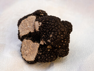 Winter truffle fair in Sarlat-le-Caneda, Perigord Noir, Dordogne, one huge black winter truffle, tasty expensive mushroom