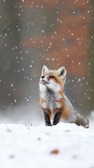 A red fox delights in snowfall under a muted gray sky, savoring the enchanting winter air and glistening snowflakes on its fur