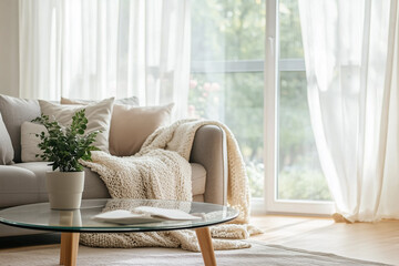 Minimalist Living Room with Gray Sofa and Natural Light