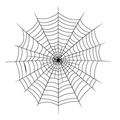 Fototapeta premium vector silhouette of spider web and spider