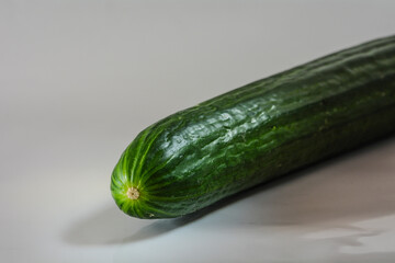 Product close-up of a green whole fresh cucumber