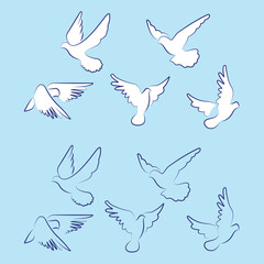 Set of White Doves, White Dove, White flying dove