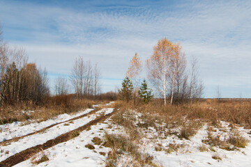 Autumn landscape. Sunny November day, the first white snow is melting on a field with dry grass. Brown bushes, birch with the last yellow leaves. There is a cold blue sky above the horizon.
