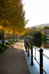 Harzburger Straße Allee in Ilsenburg Harz
