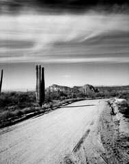 Fototapeta premium Film Image Sonora Desert Arizona